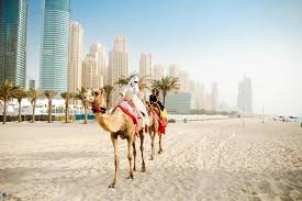 HÀ NỘI – DUBAI – SHARJAH – ABU DHABI – HÀ NỘI 6N5Đ upload/attachment/thumb/1574dubai-6-jpg.jpeg