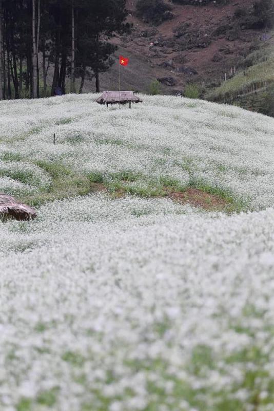 HÀ NỘI - MỘC CHÂU - MAI CHÂU - HÀ NỘI 2N1Đ upload/attachment/thumb/2223moc-chau-4-jpg.jpeg