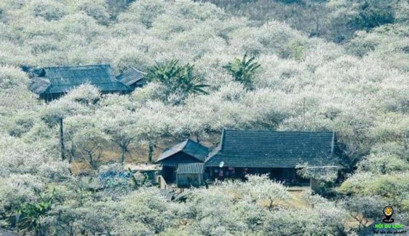 HÀ NỘI - MAI CHÂU - MỘC CHÂU - SƠN LA - ĐIỆN BIÊN - LAI CHÂU - SAPA 5N4Đ upload/attachment/thumb/9208tour-tay-bac-06-jpg.jpeg